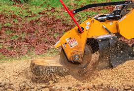 How Our Tree Care Process Works  in  Robinson, TX